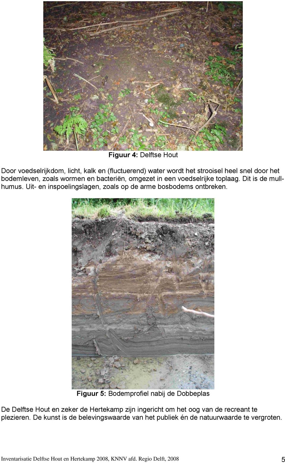 Figuur 5: Bodemprofiel nabij de Dobbeplas De Delftse Hout en zeker de Hertekamp zijn ingericht om het oog van de recreant te plezieren.
