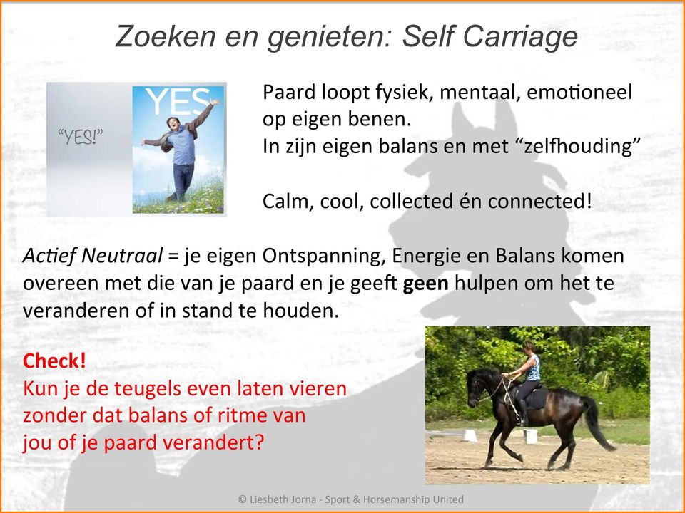 Ac:ef Neutraal = je eigen Ontspanning, Energie en Balans komen overeen met die van je paard en je geeh