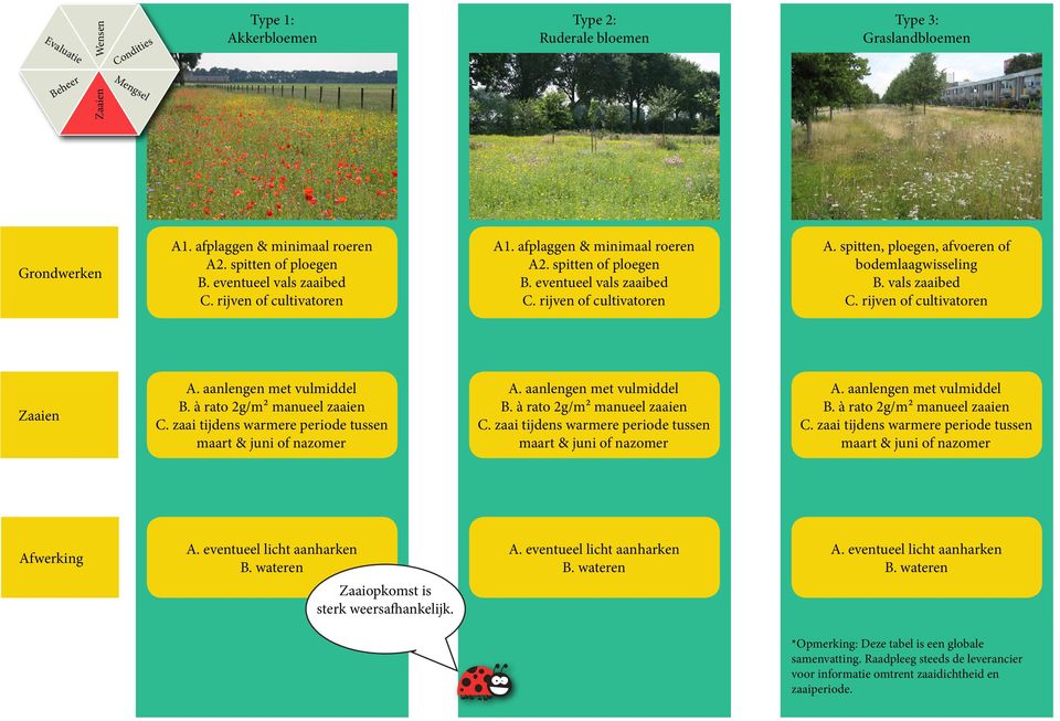 vals zaaibed C. rijven of cultivatoren A. aanlengen met vulmiddel B. à rato 2g/m² manueel zaaien C. zaai tijdens warmere periode tussen maart & juni of nazomer A. aanlengen met vulmiddel B. à rato 2g/m² manueel zaaien C. zaai tijdens warmere periode tussen maart & juni of nazomer A. aanlengen met vulmiddel B. à rato 2g/m² manueel zaaien C. zaai tijdens warmere periode tussen maart & juni of nazomer Afwerking A.