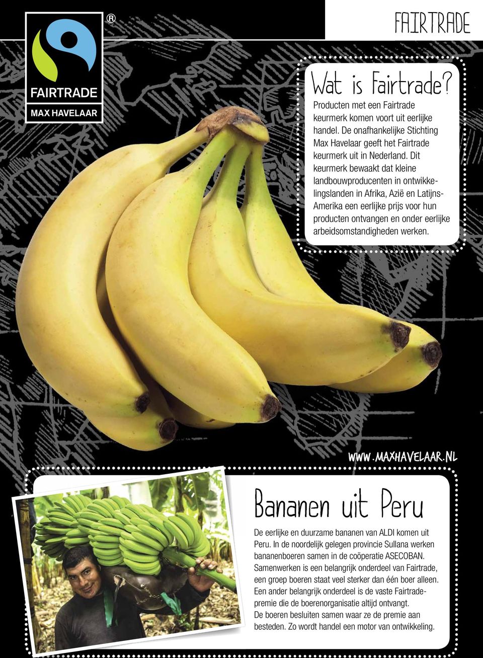 werken. WWW.MAXHAVELAAR.NL Bananen uit Peru De eerlijke en duurzame bananen van ALDI komen uit Peru. In de noordelijk gelegen provincie Sullana werken bananenboeren samen in de coöperatie ASECOBAN.