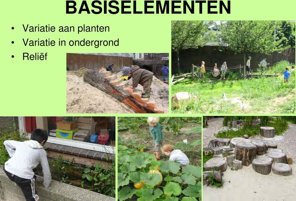 planten Variatie