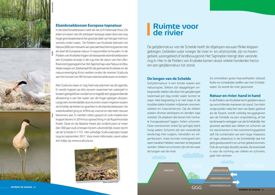 De Polders van Kruibeke behoren tot Natura 2000, een netwerk van speciale beschermingszones met als doel de Europese natuur in topconditie te houden.