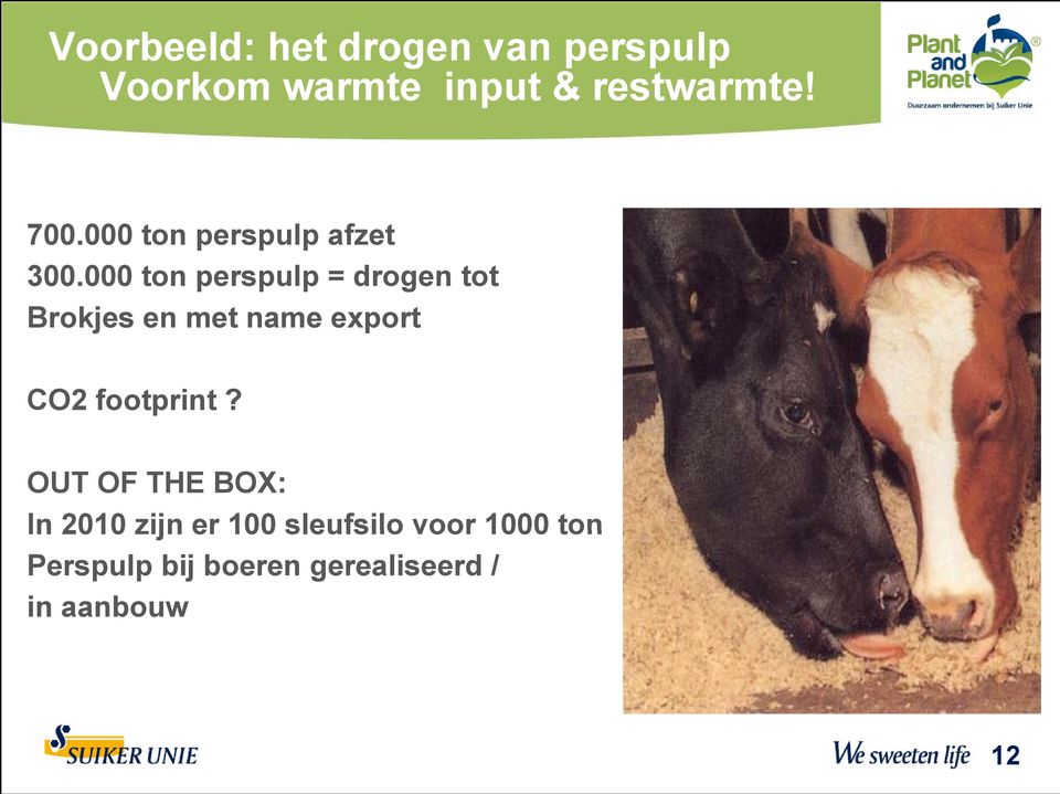 000000 ton perspulp = drogen tot Brokjes en met name export CO2