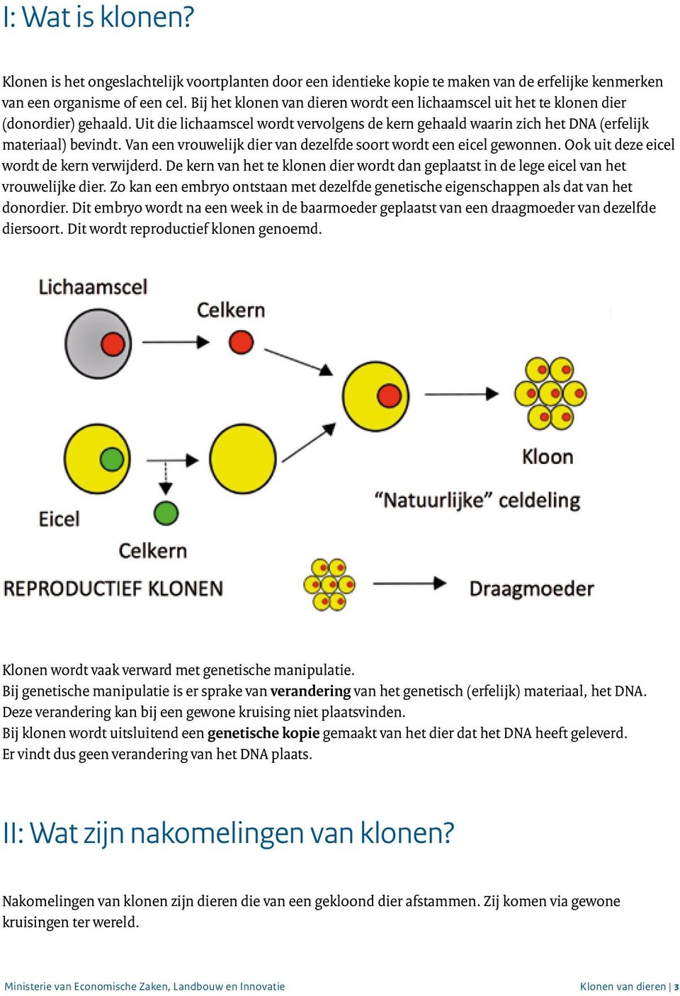 Van een vrouwelijk dier van dezelfde soort wordt een eicel gewonnen. Ook uit deze eicel wordt de kern verwijderd.