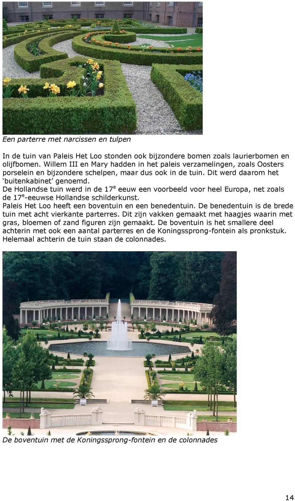 De Hollandse tuin werd in de 17 e eeuw een voorbeeld voor heel Europa, net zoals de 17 e -eeuwse Hollandse schilderkunst. Paleis Het Loo heeft een boventuin en een benedentuin.