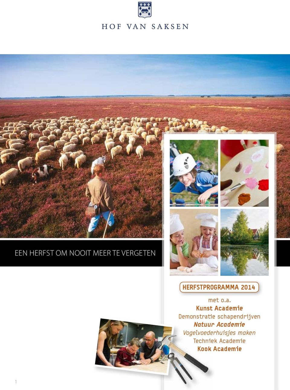 Kunst Academie Demonstratie schapendrijven