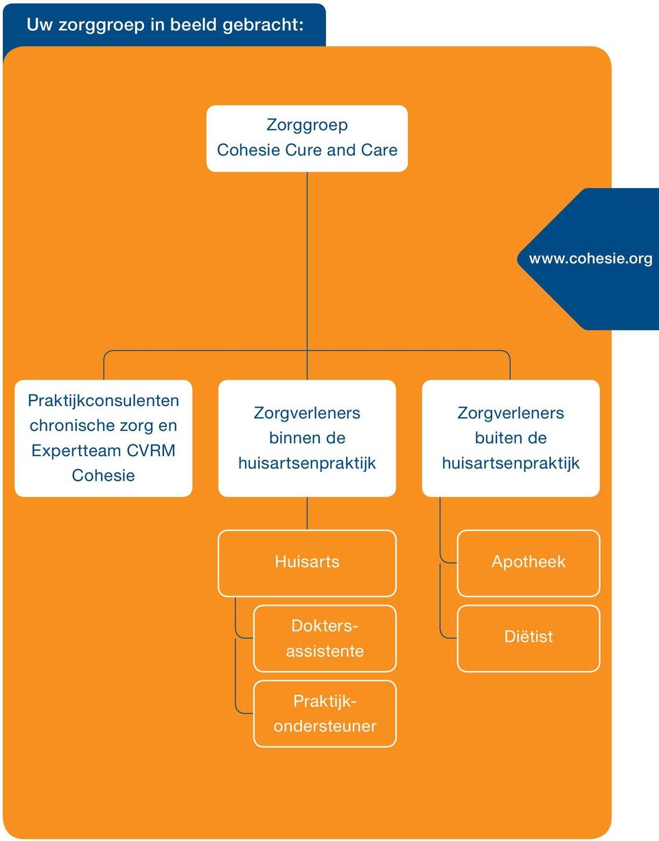 org Praktijkconsulenten chronische zorg en Expertteam CVRM Cohesie