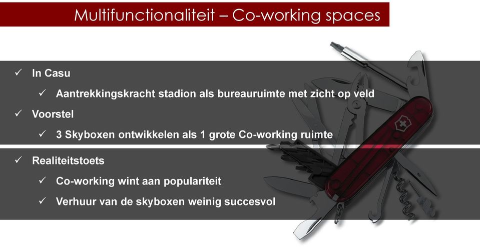 Voorstel 3 Skyboxen ontwikkelen als 1 grote Co-working ruimte