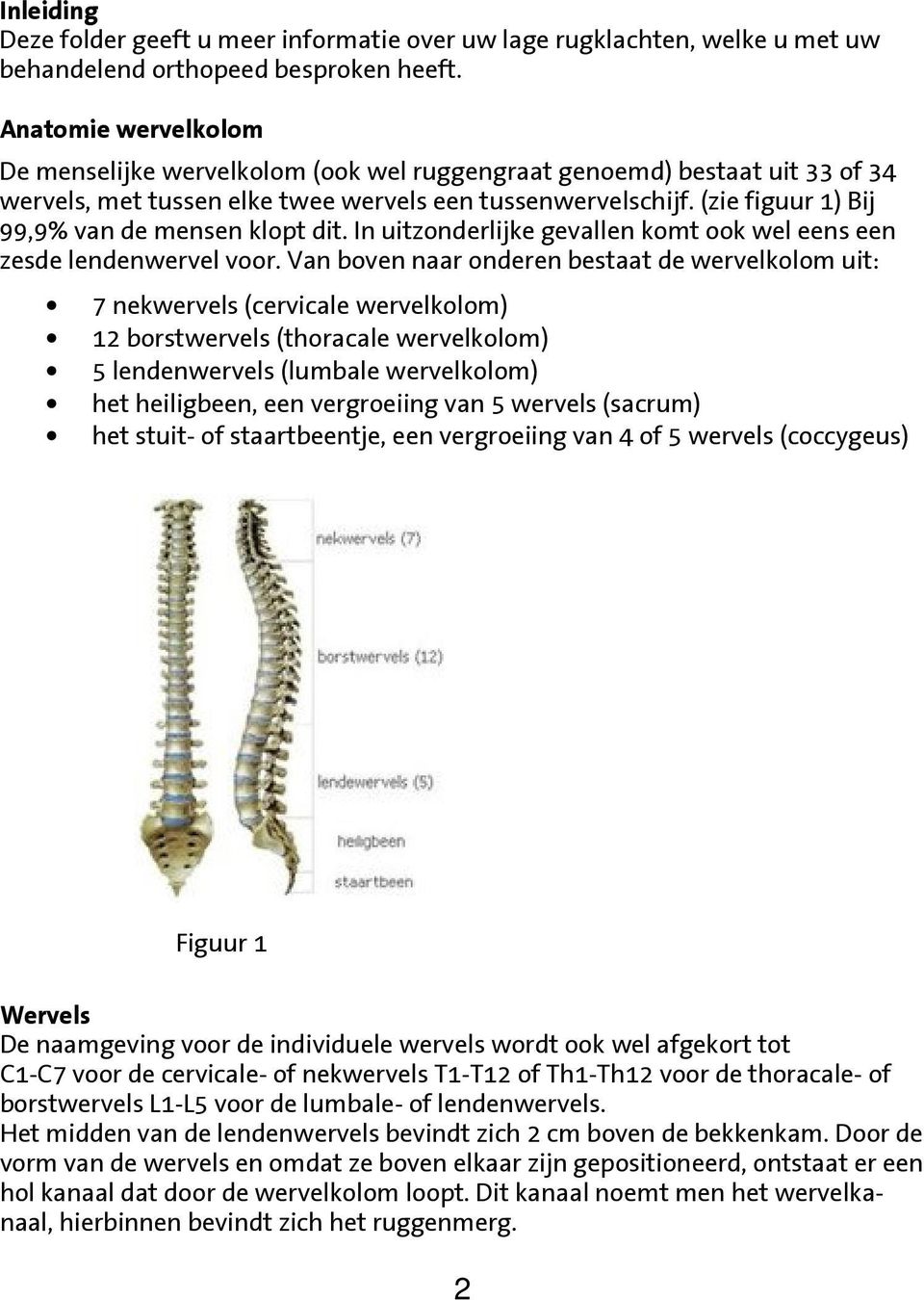 (zie figuur 1) Bij 99,9% van de mensen klopt dit. In uitzonderlijke gevallen komt ook wel eens een zesde lendenwervel voor.