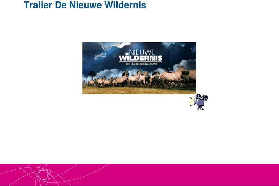 Wildernis