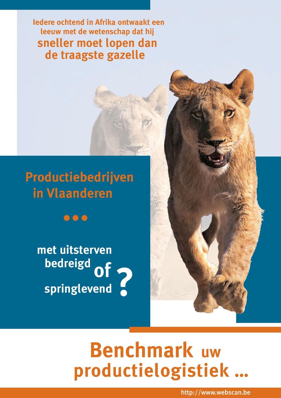 gazelle Productiebedrijven in Vlaanderen met uitsterven