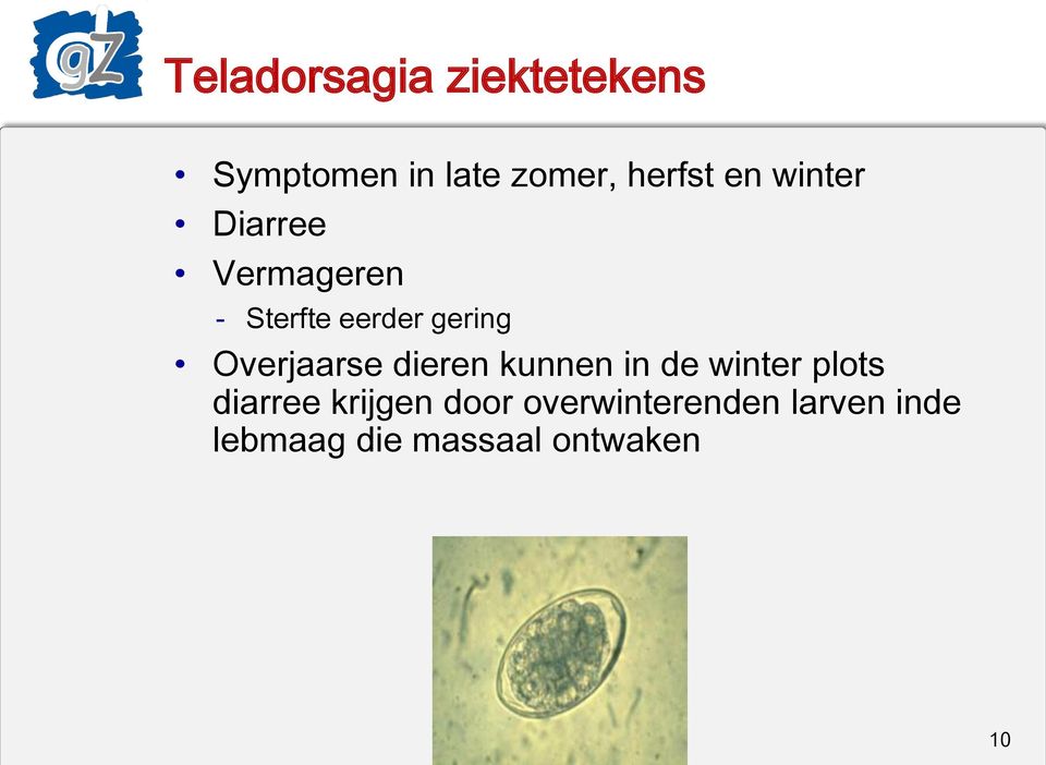 Overjaarse dieren kunnen in de winter plots diarree