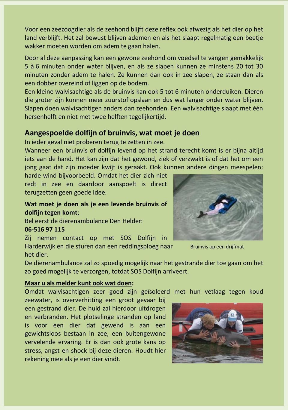 Door al deze aanpassing kan een gewone zeehond om voedsel te vangen gemakkelijk 5 à 6 minuten onder water blijven, en als ze slapen kunnen ze minstens 20 tot 30 minuten zonder adem te halen.