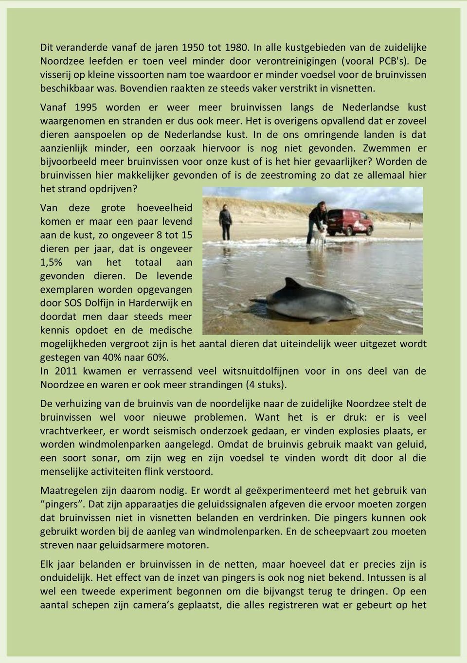 Vanaf 1995 worden er weer meer bruinvissen langs de Nederlandse kust waargenomen en stranden er dus ook meer. Het is overigens opvallend dat er zoveel dieren aanspoelen op de Nederlandse kust.