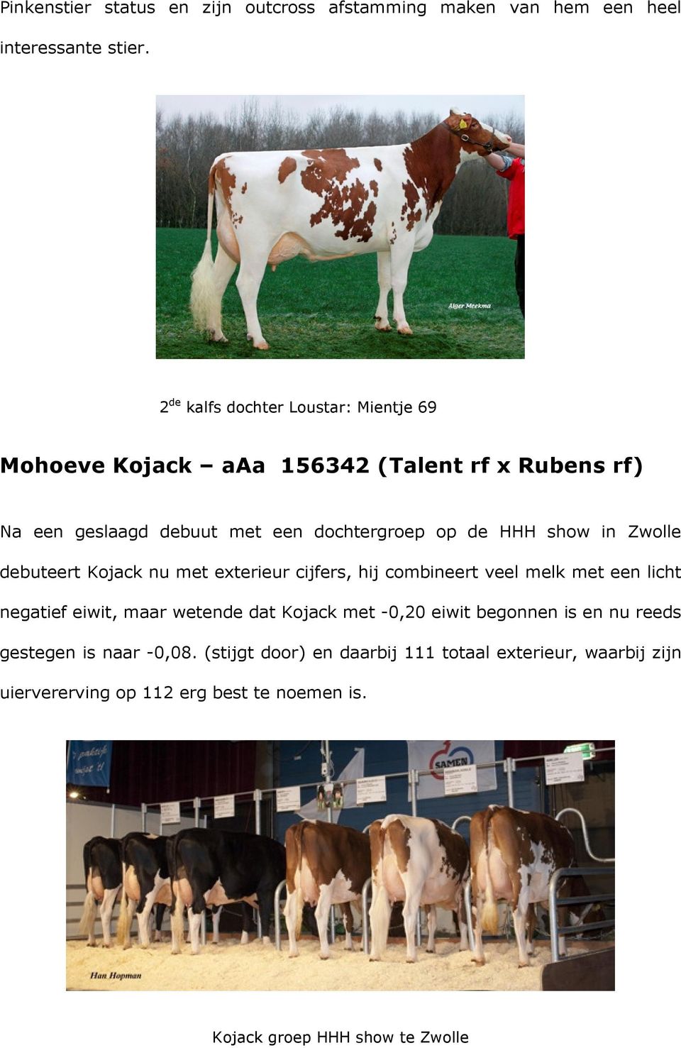 show in Zwolle debuteert Kojack nu met exterieur cijfers, hij combineert veel melk met een licht negatief eiwit, maar wetende dat Kojack met