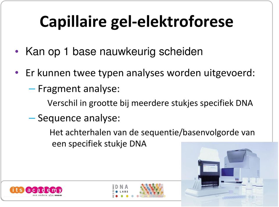 Verschil in grootte bij meerdere stukjes specifiek DNA Sequence