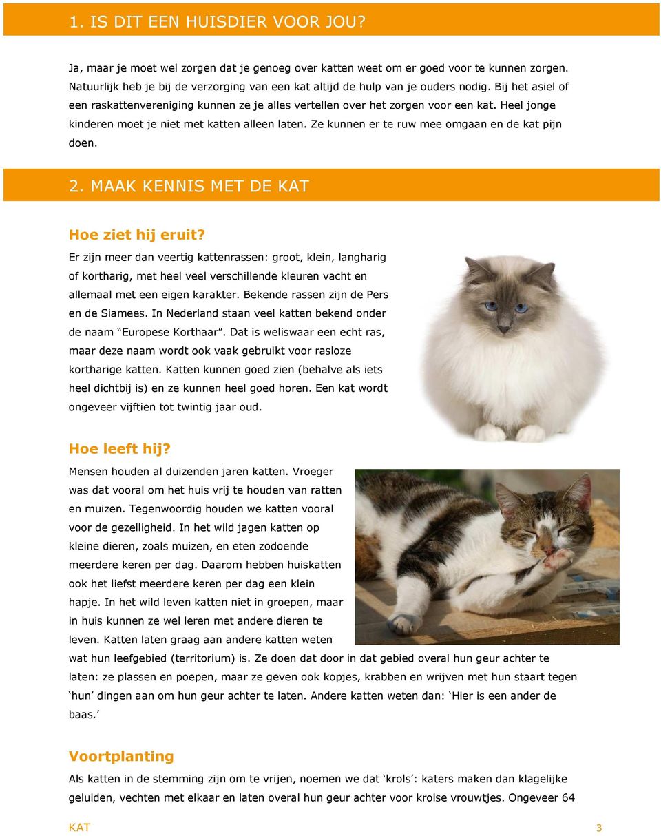 2. MAAK KENNIS MET DE KAT He ziet hij eruit? Er zijn meer dan veertig kattenrassen: grt, klein, langharig f krtharig, met heel veel verschillende kleuren vacht en allemaal met een eigen karakter.