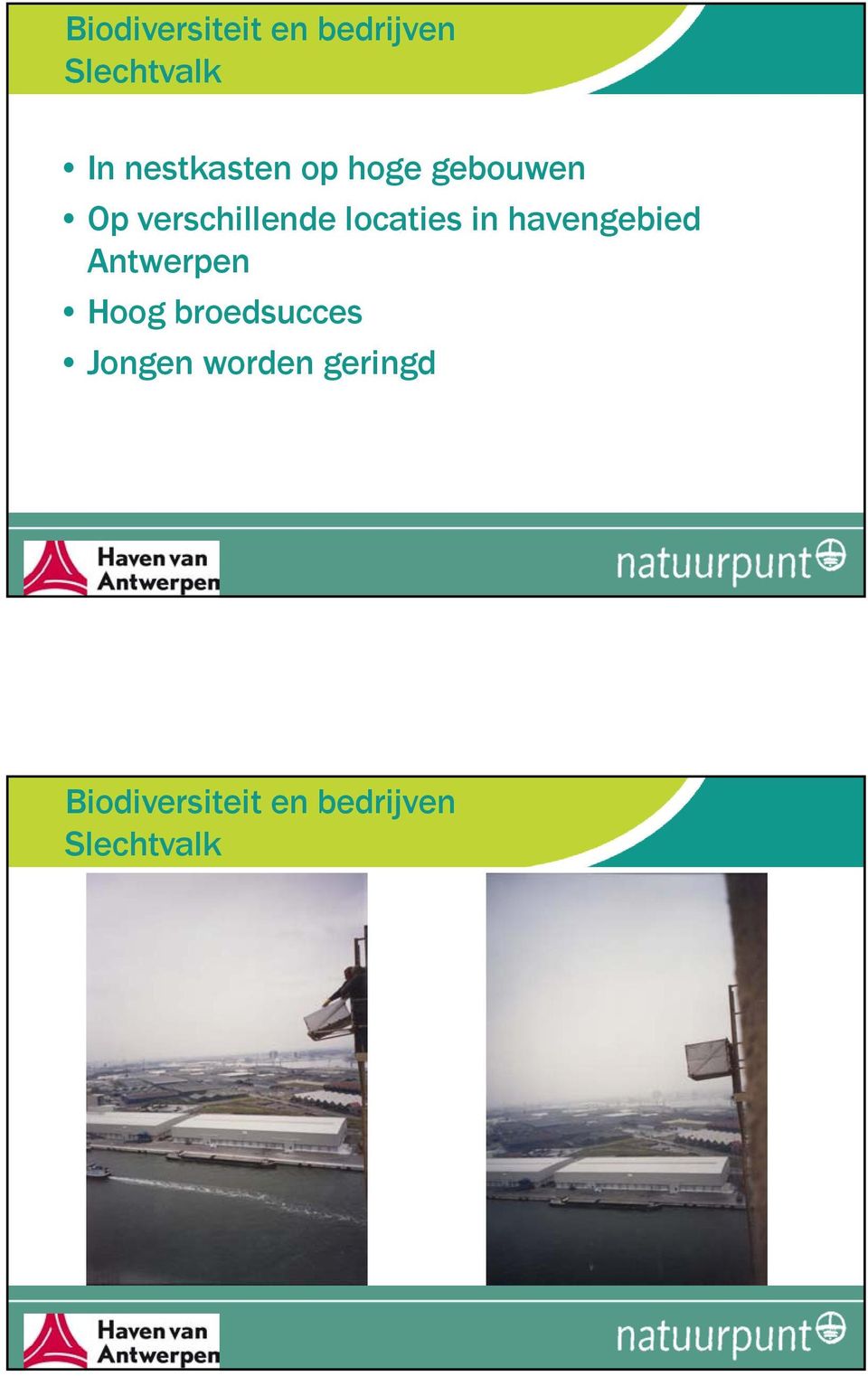 locaties in havengebied Antwerpen Hoog