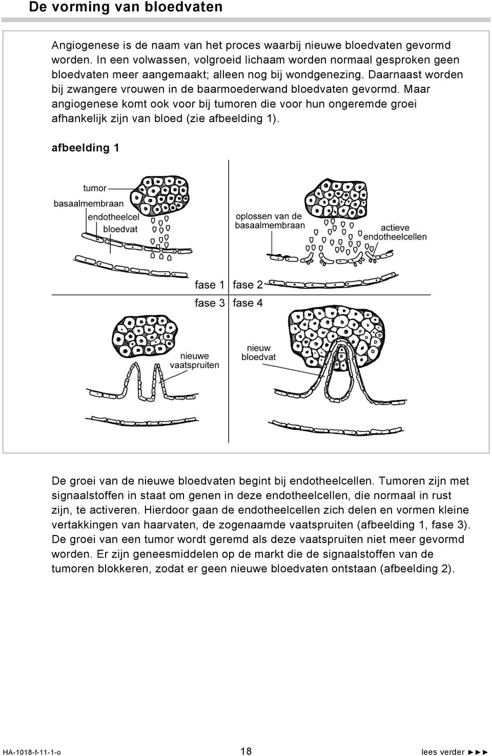 Daarnaast worden bij zwangere vrouwen in de baarmoederwand bloedvaten gevormd. Maar angiogenese komt ook voor bij tumoren die voor hun ongeremde groei afhankelijk zijn van bloed (zie afbeelding 1).