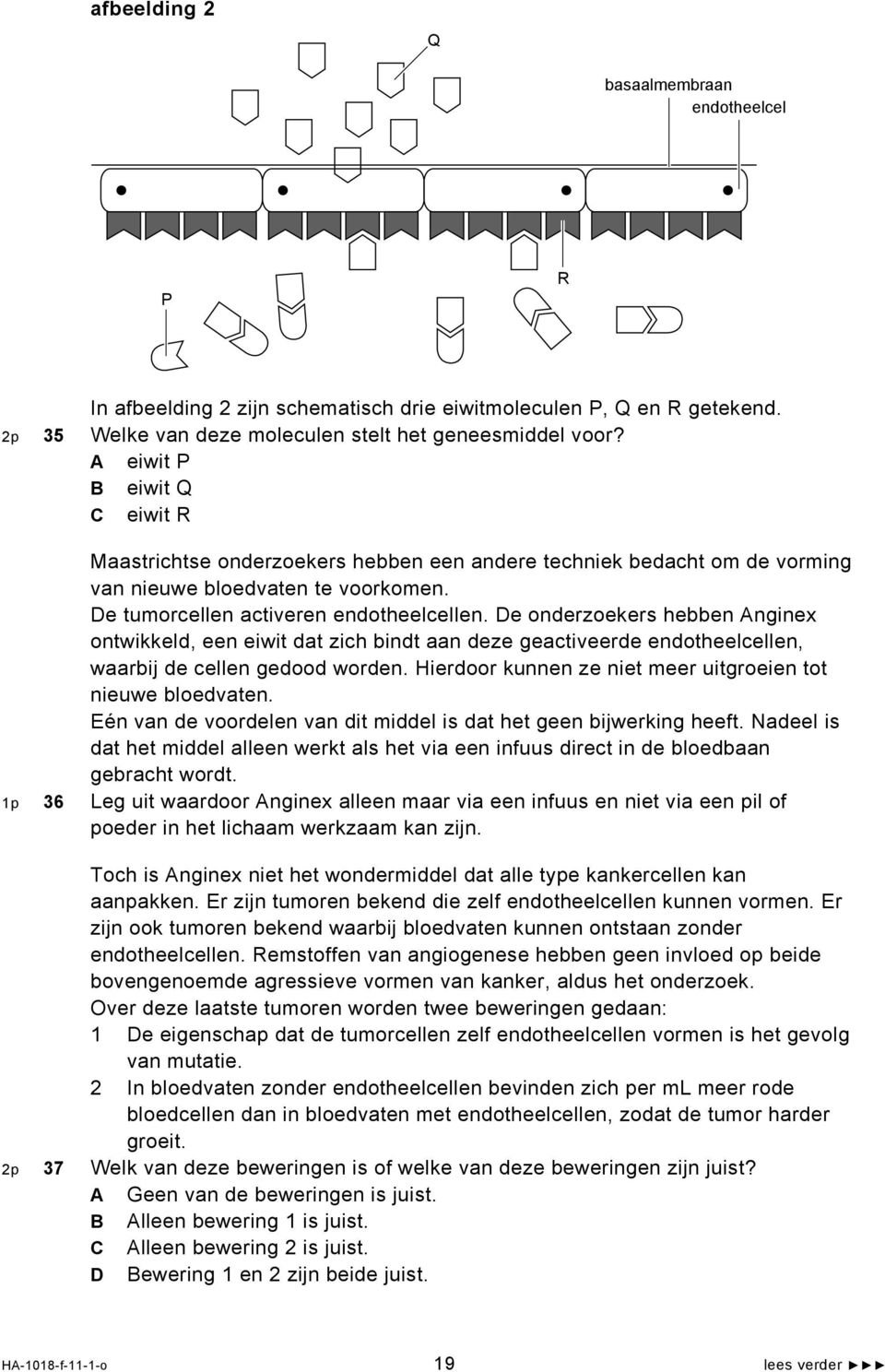 De onderzoekers hebben Anginex ontwikkeld, een eiwit dat zich bindt aan deze geactiveerde endotheelcellen, waarbij de cellen gedood worden.