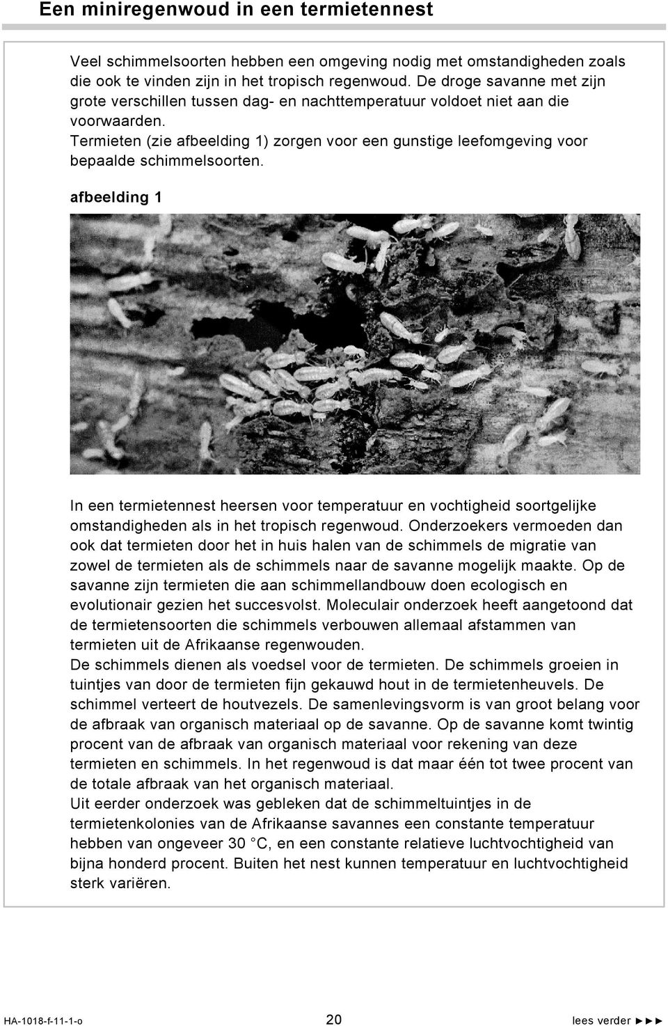 Termieten (zie afbeelding 1) zorgen voor een gunstige leefomgeving voor bepaalde schimmelsoorten.