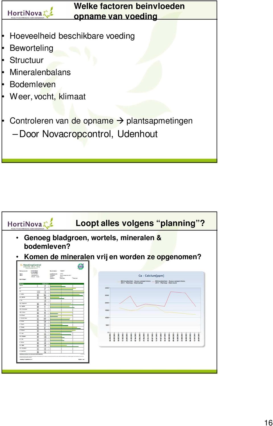 opname plantsapmetingen Door Novacropcontrol, Udenhout Loopt alles volgens planning?