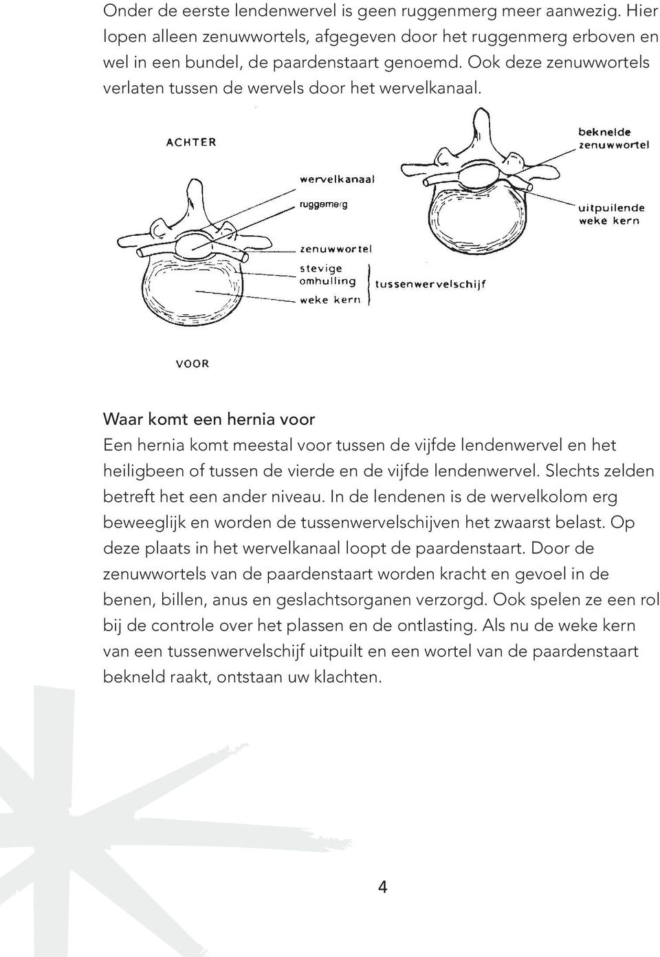 Waar komt een hernia voor Een hernia komt meestal voor tussen de vijfde lendenwervel en het heiligbeen of tussen de vierde en de vijfde lendenwervel. Slechts zelden betreft het een ander niveau.