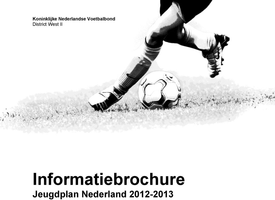 II Informatiebrochure