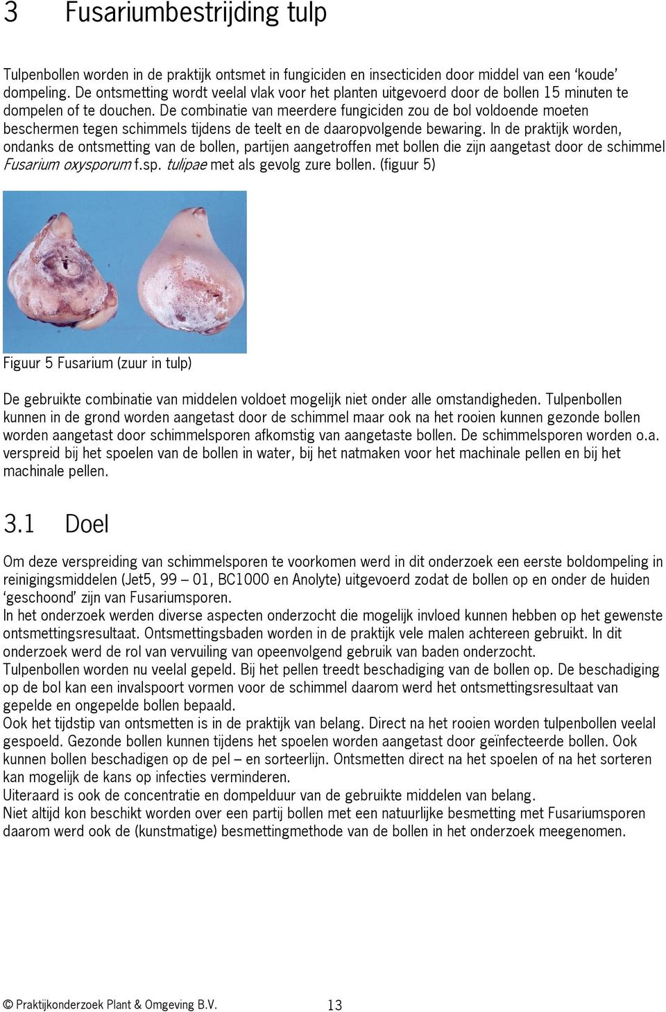 De combinatie van meerdere fungiciden zou de bol voldoende moeten beschermen tegen schimmels tijdens de teelt en de daaropvolgende bewaring.