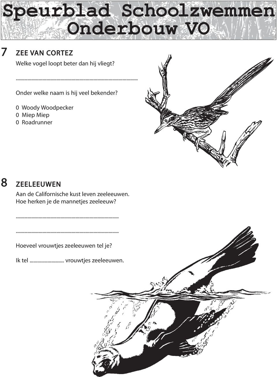 0 Woody Woodpecker 0 Miep Miep 0 Roadrunner 8 ZEELEEUWEN Aan de Californische kust