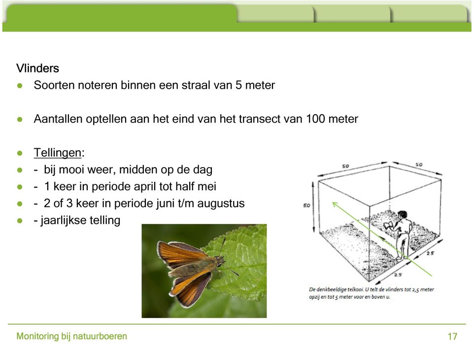 midden op de dag - 1 keer in periode april tot half mei - 2 of 3 keer in