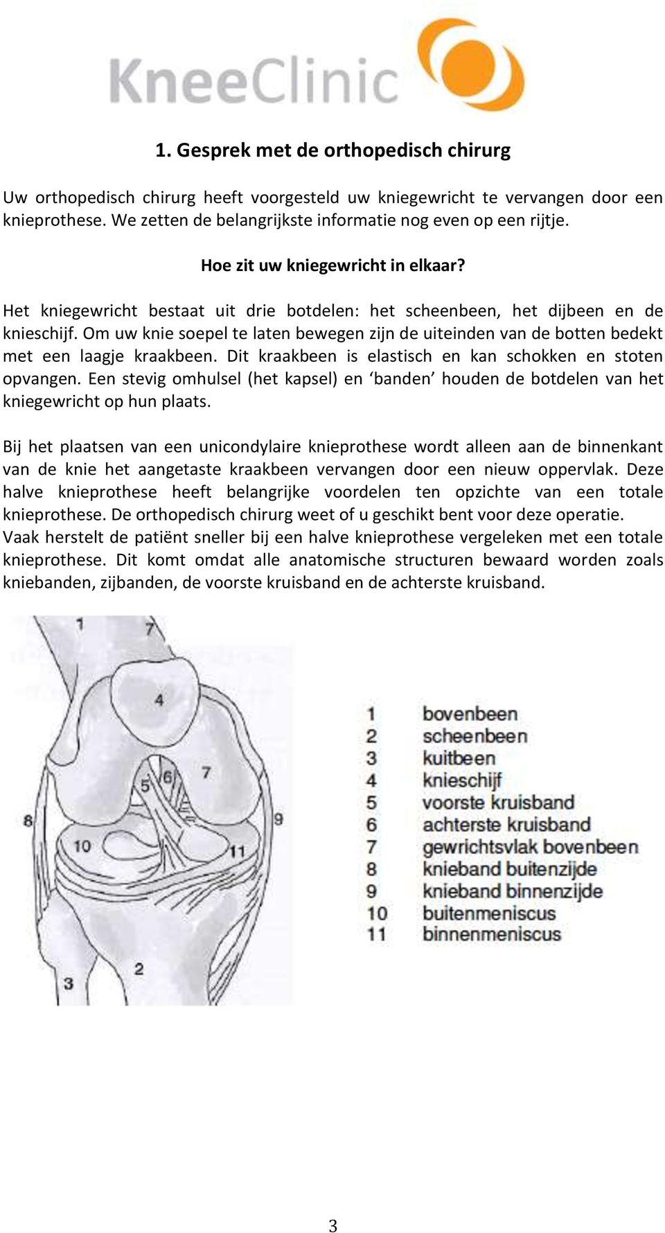 Om uw knie soepel te laten bewegen zijn de uiteinden van de botten bedekt met een laagje kraakbeen. Dit kraakbeen is elastisch en kan schokken en stoten opvangen.