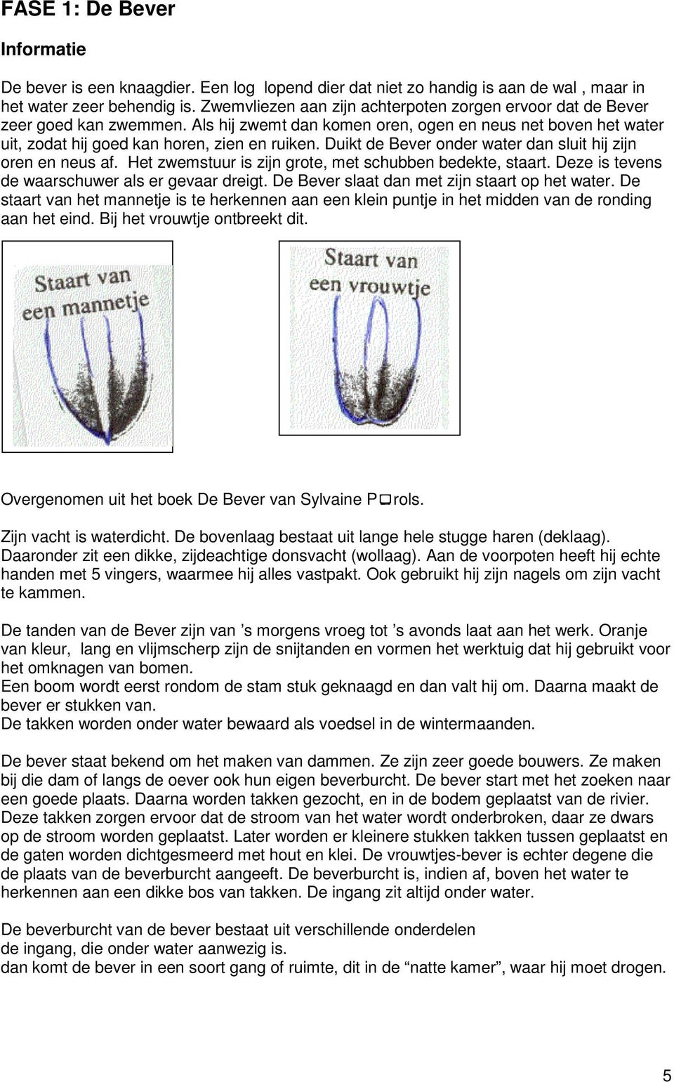 Duikt de Bever onder water dan sluit hij zijn oren en neus af. Het zwemstuur is zijn grote, met schubben bedekte, staart. Deze is tevens de waarschuwer als er gevaar dreigt.