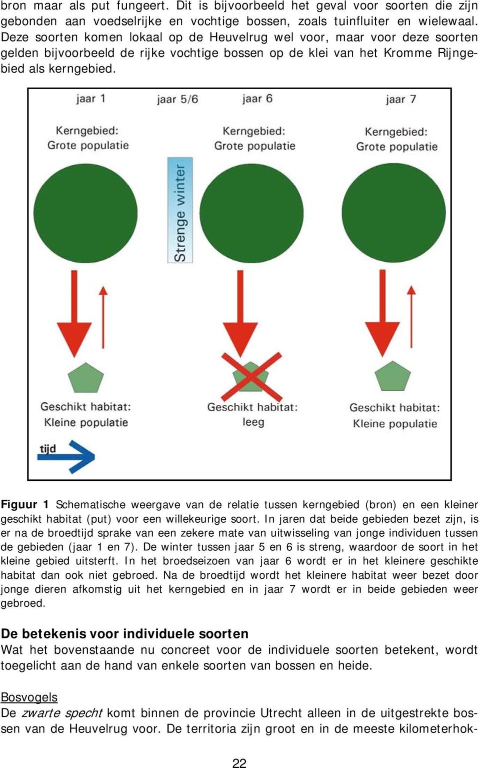 Figuur 1 Schematische weergave van de relatie tussen kerngebied (bron) en een kleiner geschikt habitat (put) voor een willekeurige soort.