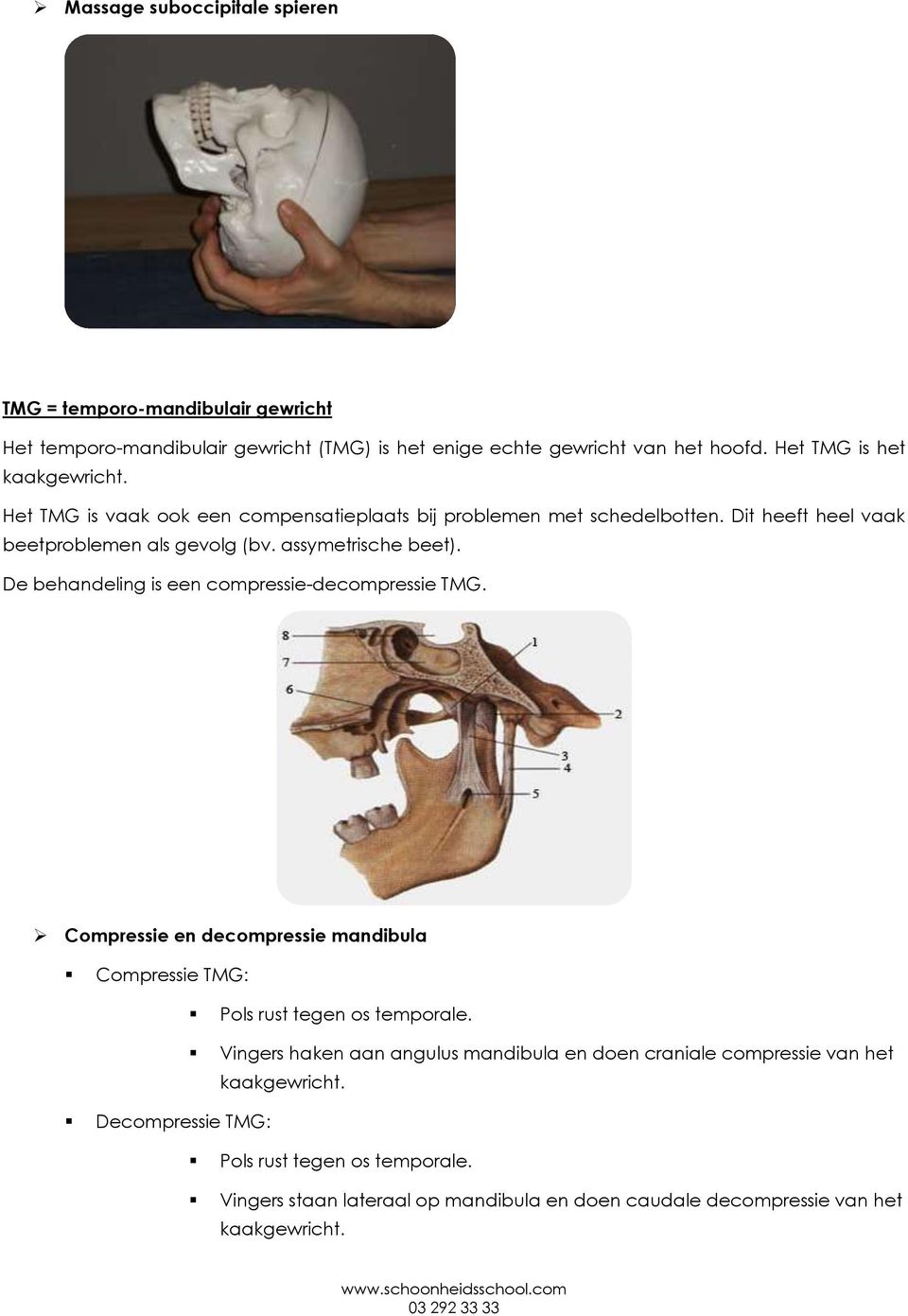 assymetrische beet). De behandeling is een compressie-decompressie TMG. Compressie en decompressie mandibula Compressie TMG: Pols rust tegen os temporale.