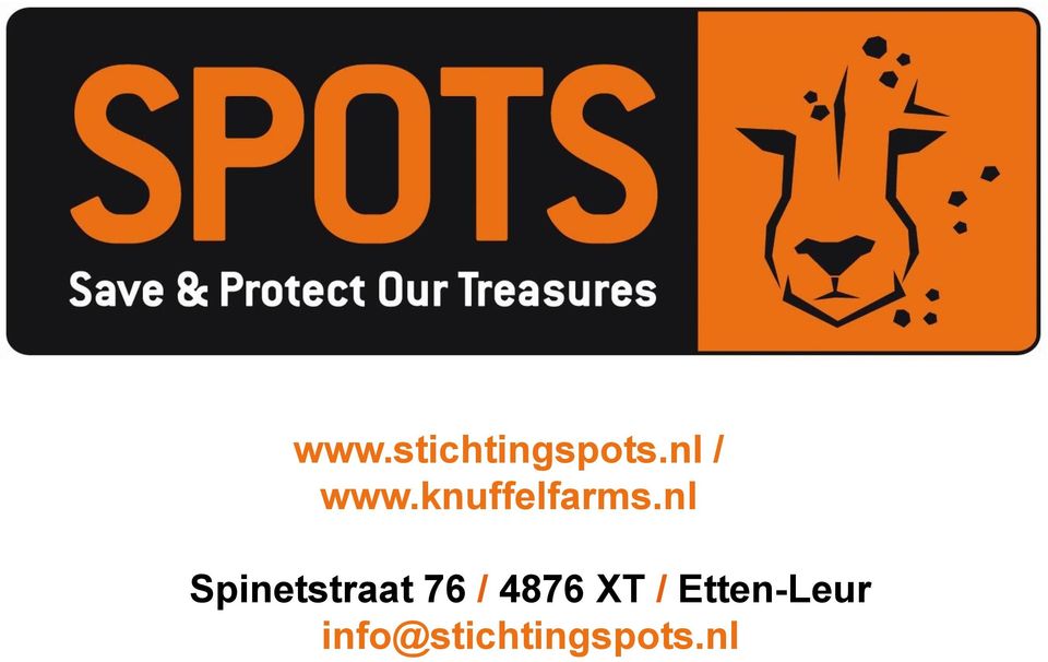 nl Spinetstraat 76 / 4876