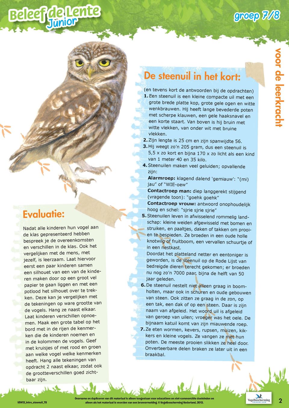 Deze kan je vergelijken met de tekeningen op ware grootte van de vogels. Hang ze naast elkaar. Laat kinderen verschillen opnoemen.