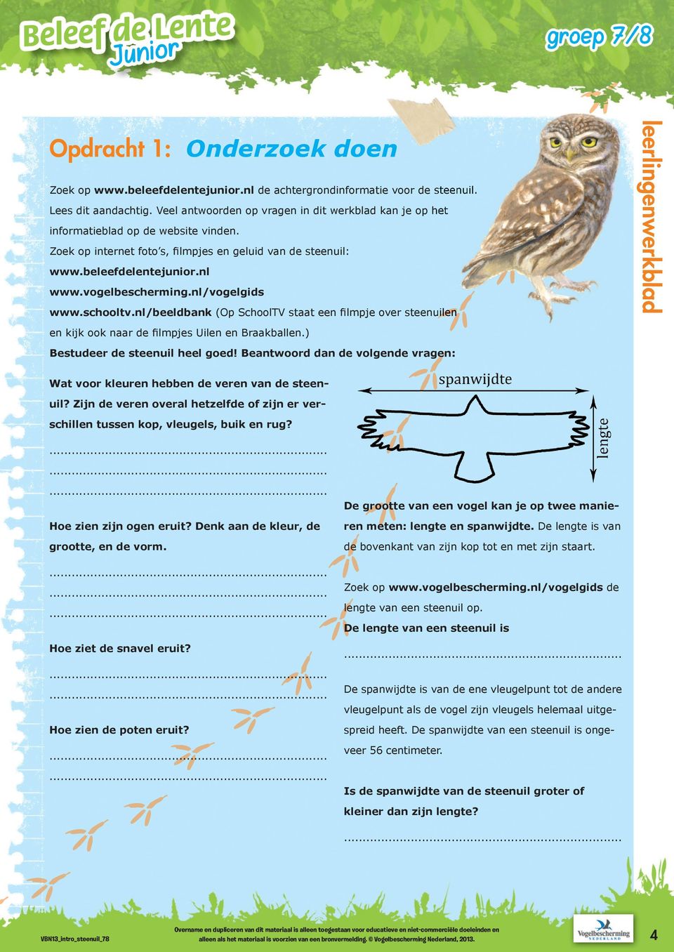 nl/beeldbank (Op SchoolTV staat een ﬁlmpje over steenuilen Opdracht 1: Onderzoek doen en kijk ook naar de ﬁlmpjes Uilen en Braakballen.) Bestudeer de steenuil heel goed!