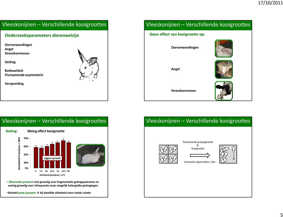 5 2 Dichtheid(konijnen/ m 2 ) Toenemende Increasedgroepsgrootte group size & & total Kooigrootte space availability Constante oppervlakte/ space / animal dier