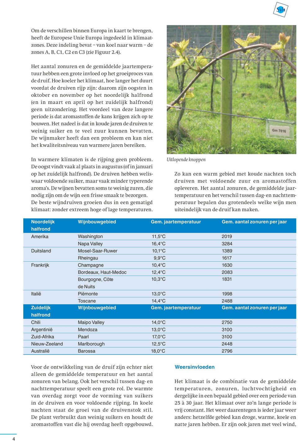 Hoe koeler het klimaat, hoe langer het duurt voordat de druiven rijp zijn: daarom zijn oogsten in oktober en november op het noordelijk halfrond (en in maart en april op het zuidelijk halfrond) geen