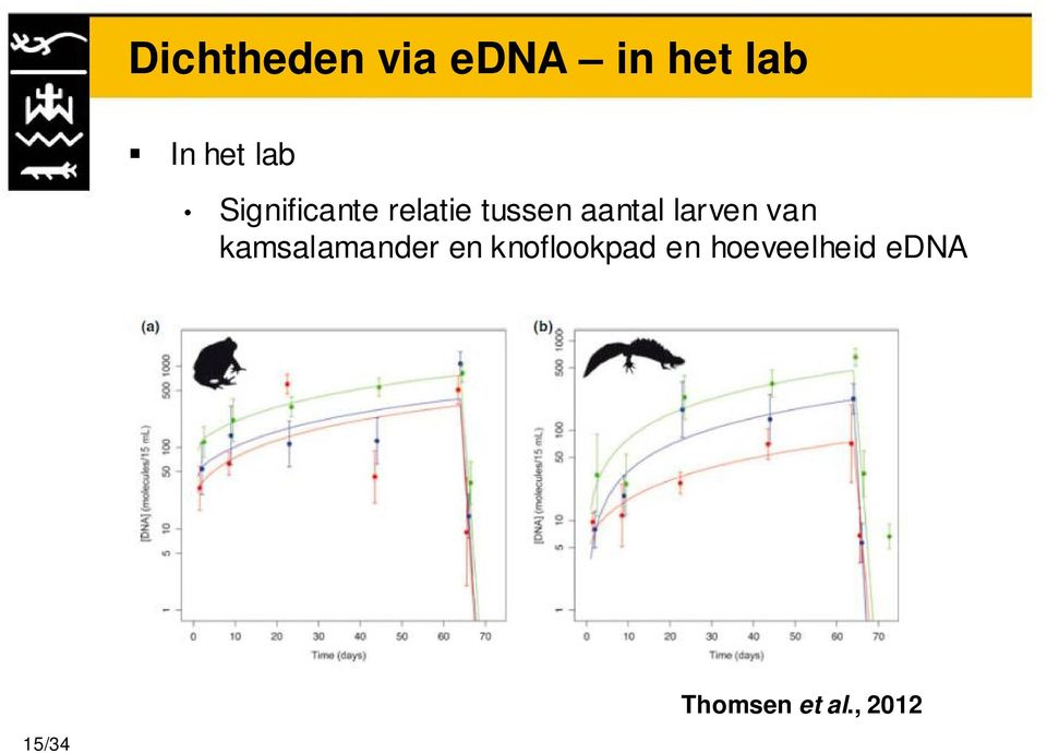 larven van kamsalamander en knoflookpad