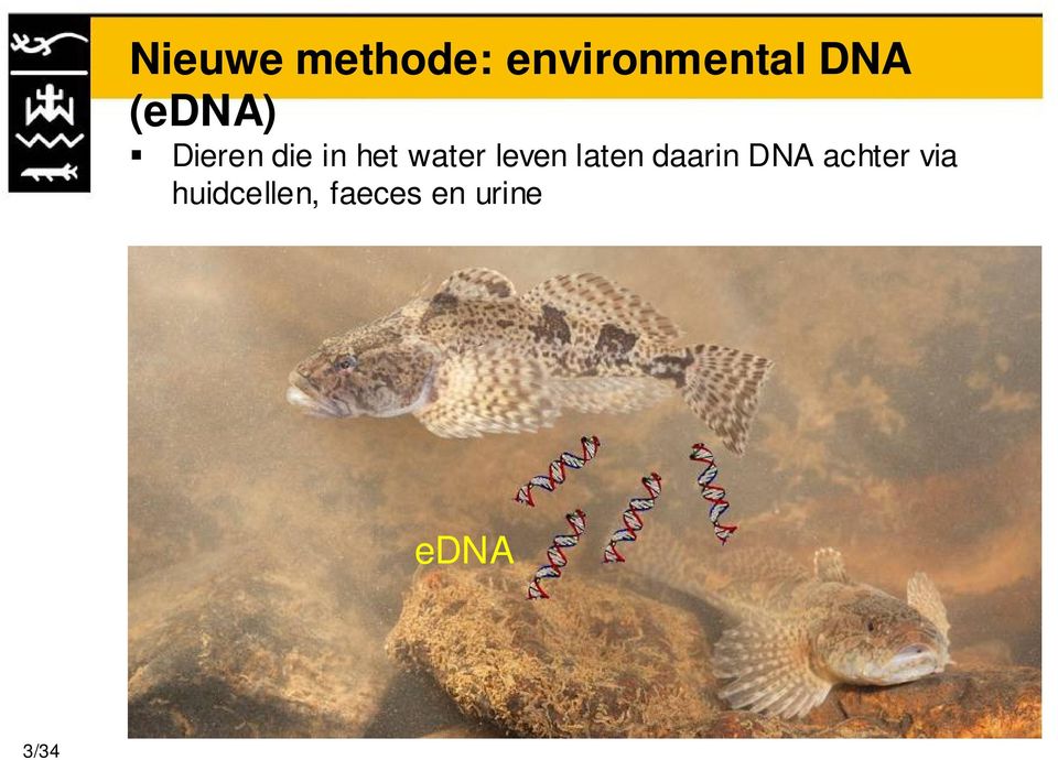 leven laten daarin DNA achter via