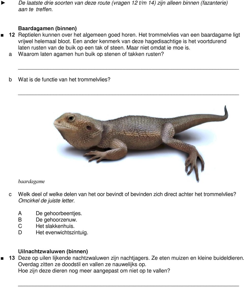 Wrom lten gmen hun uik op stenen of tkken rusten? Wt is de funtie vn het trommelvlies? rdgme Welk deel of welke delen vn het oor evindt of evinden zih diret hter het trommelvlies?