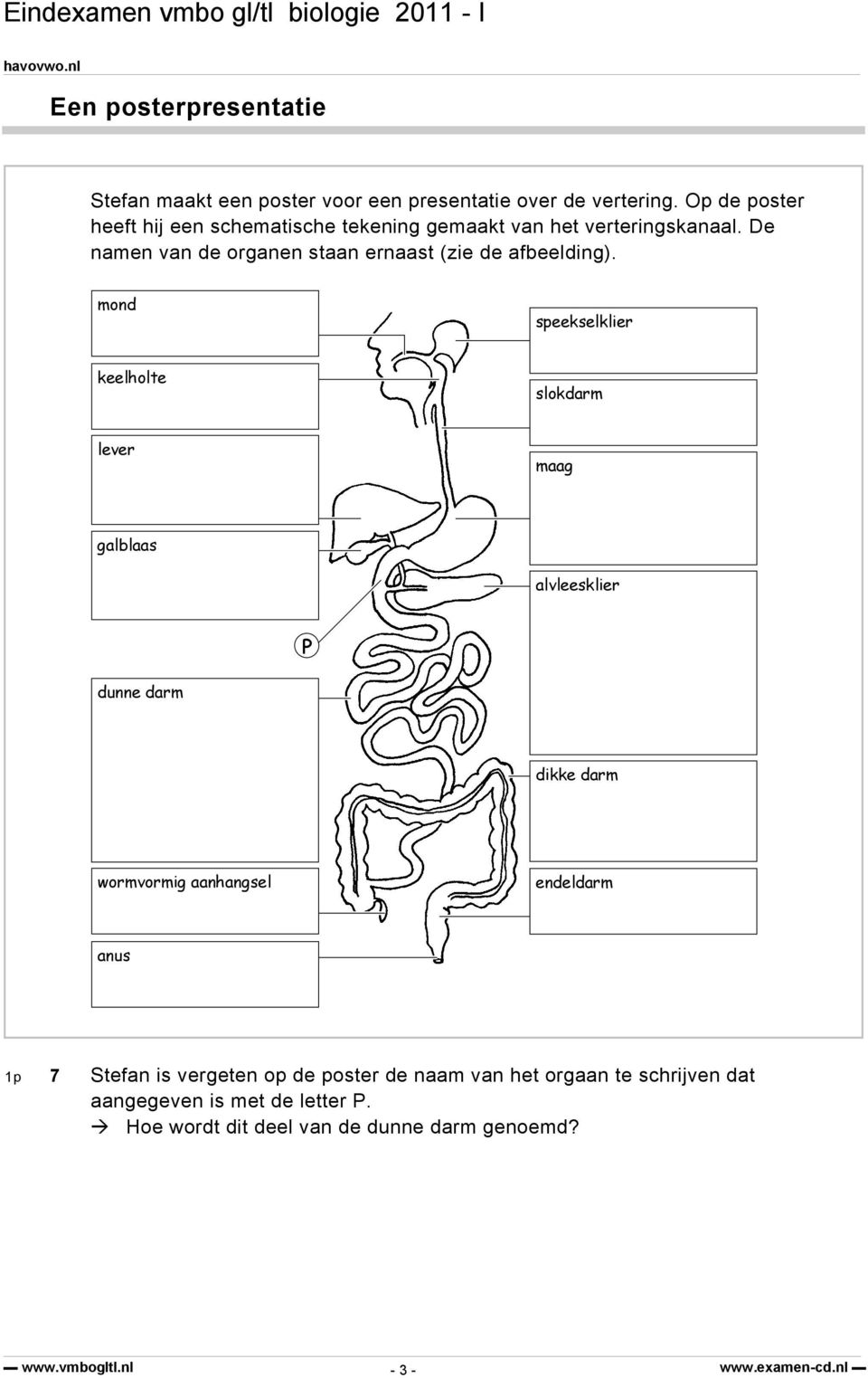 De namen van de organen staan ernaast (zie de afbeelding).