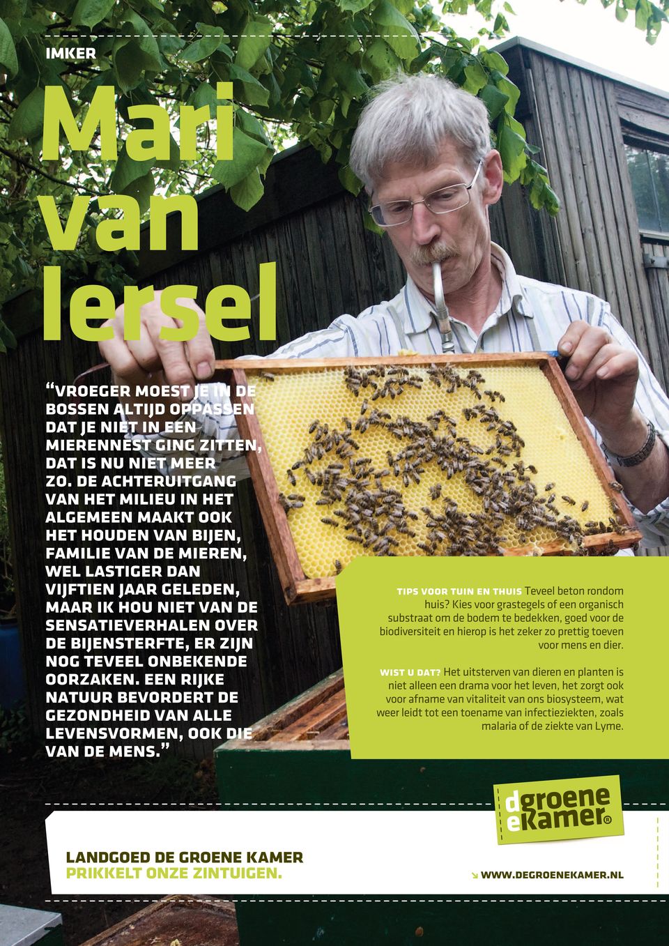 bijensterfte, er zijn nog teveel onbekende oorzaken. een rijke natuur bevordert de gezondheid van alle levensvormen, ook die van de mens. tips voor tuin en thuis Teveel beton rondom huis?