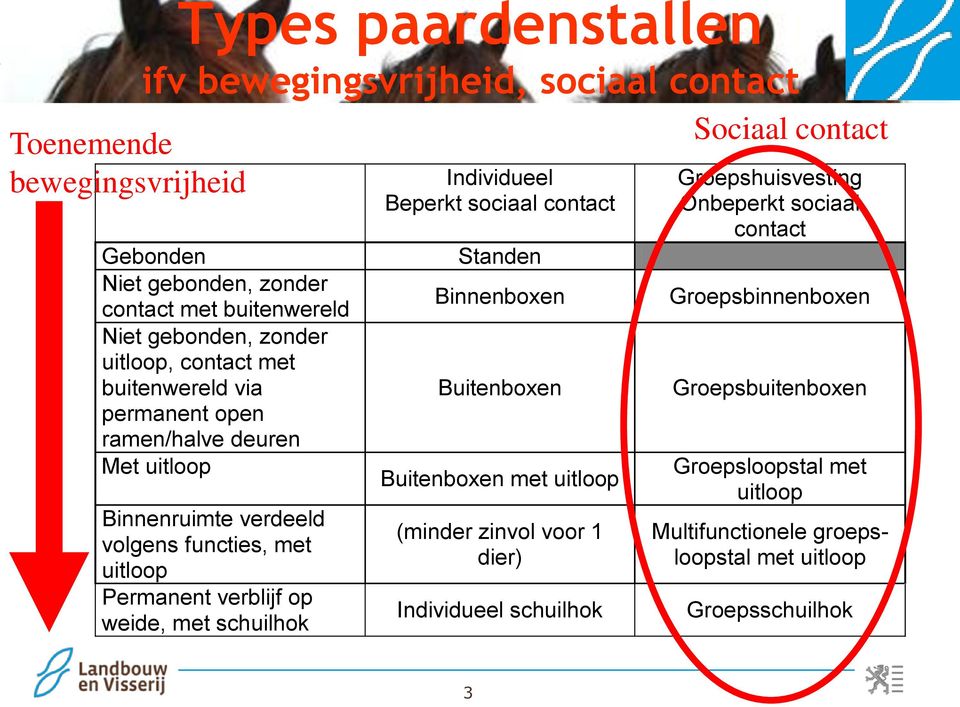 schuilhok Individueel Beperkt sociaal contact Standen Binnenboxen Buitenboxen Buitenboxen met uitloop (minder zinvol voor 1 dier) Individueel schuilhok Sociaal contact