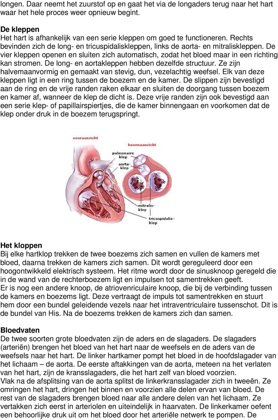 De vier kleppen openen en sluiten zich automatisch, zodat het bloed maar in een richting kan stromen. De long- en aortakleppen hebben dezelfde structuur.