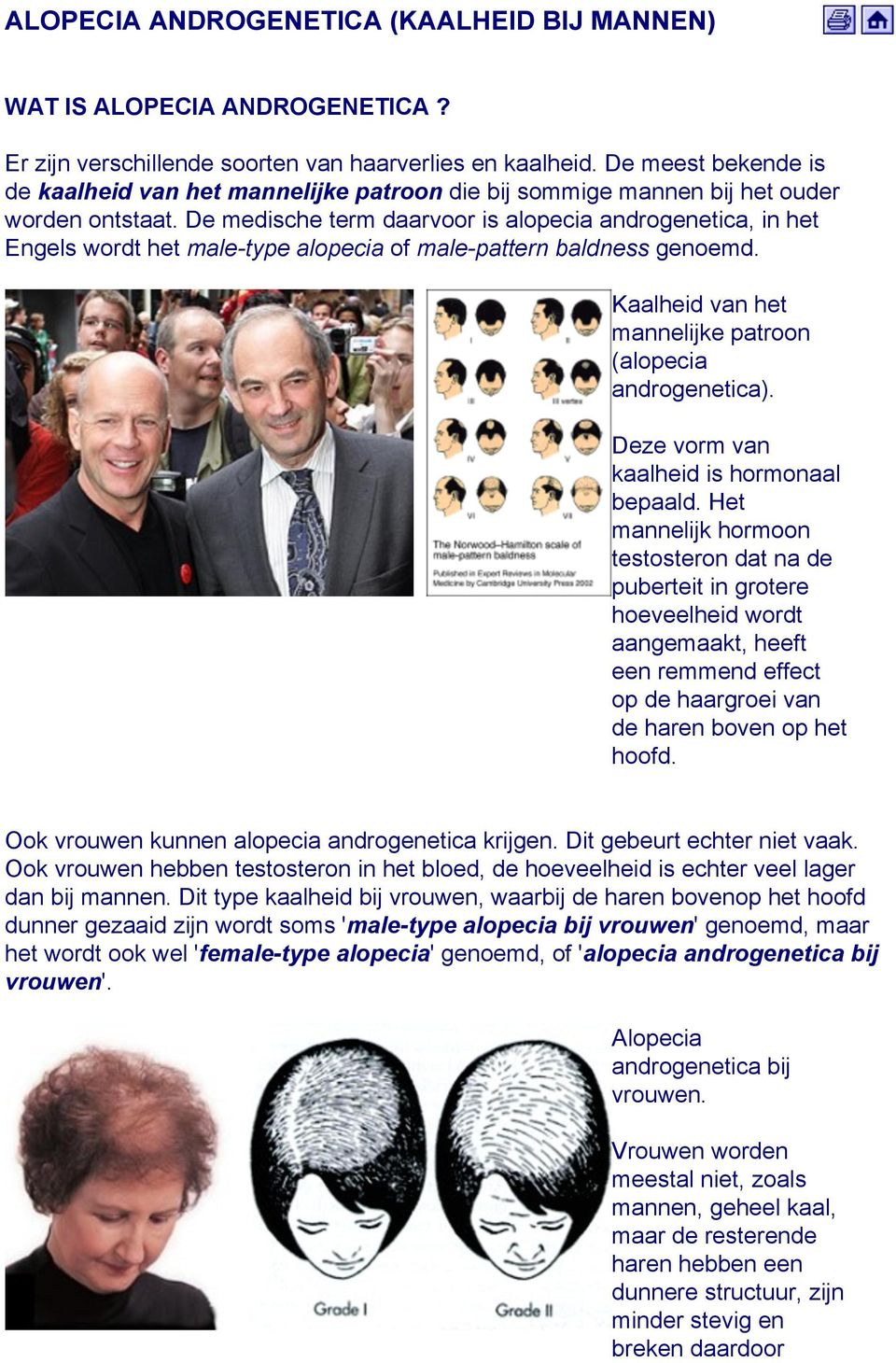 De medische term daarvoor is alopecia androgenetica, in het Engels wordt het male-type alopecia of male-pattern baldness genoemd. Kaalheid van het mannelijke patroon (alopecia androgenetica).