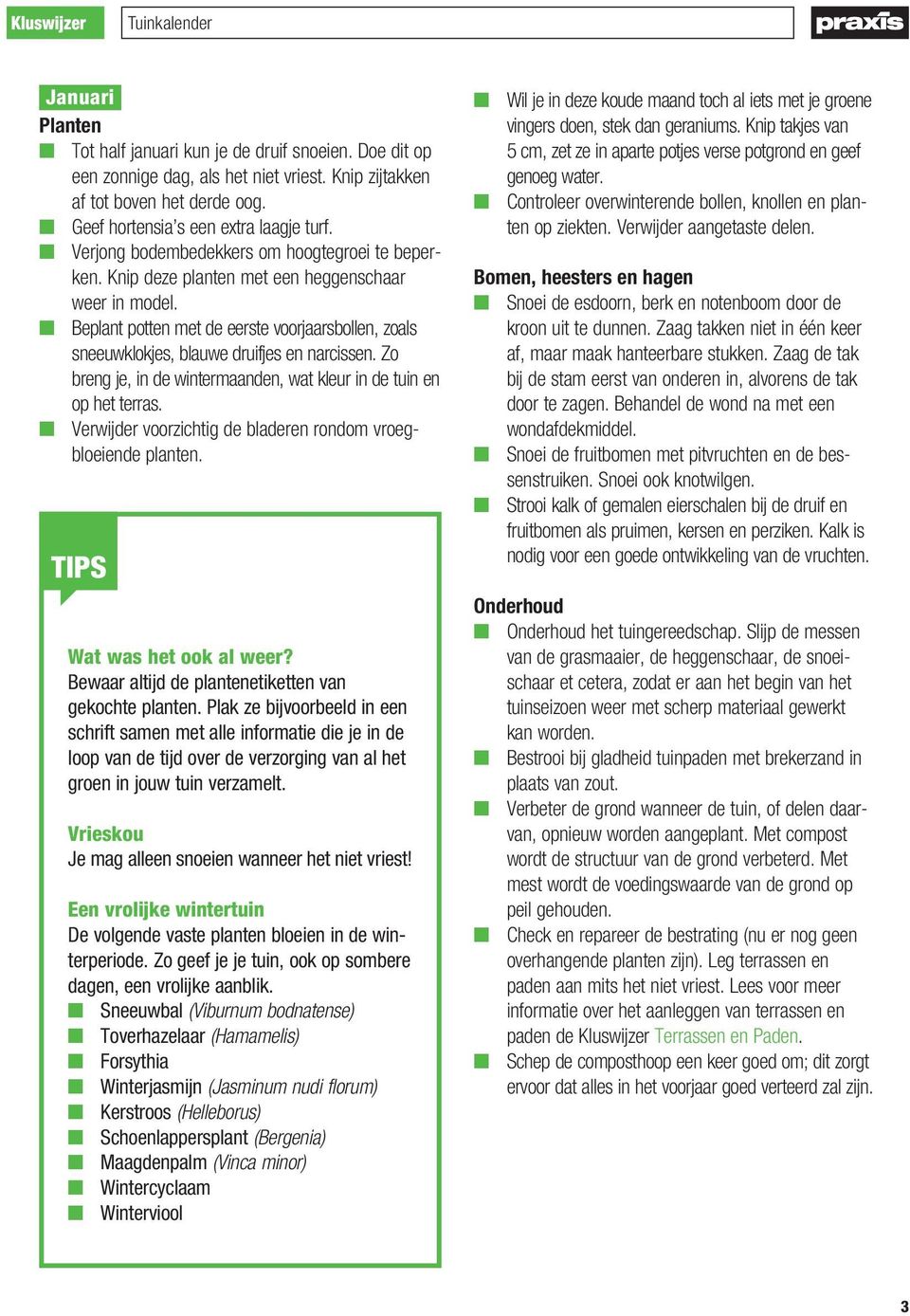 Beplant potten met de eerste voorjaarsbollen, zoals sneeuwklokjes, blauwe druifjes en narcissen. Zo breng je, in de wintermaanden, wat kleur in de tuin en op het terras.