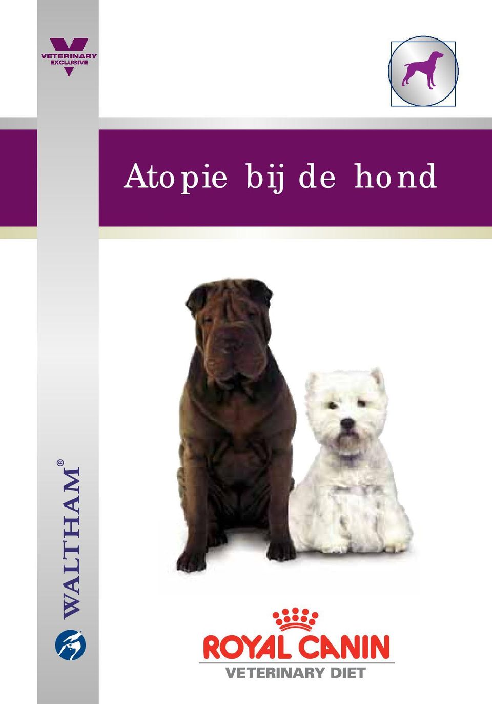 hond